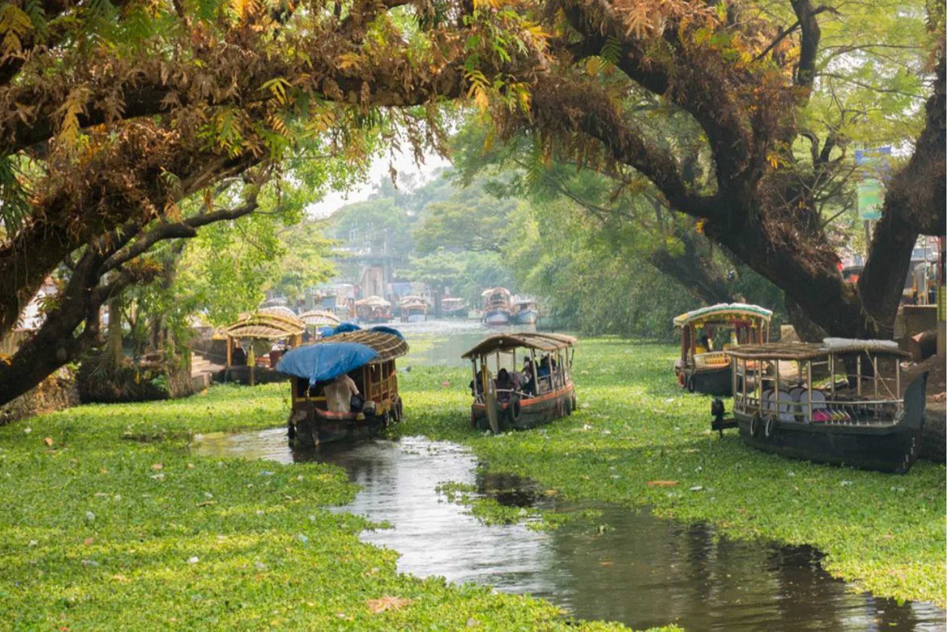 alleppey-1