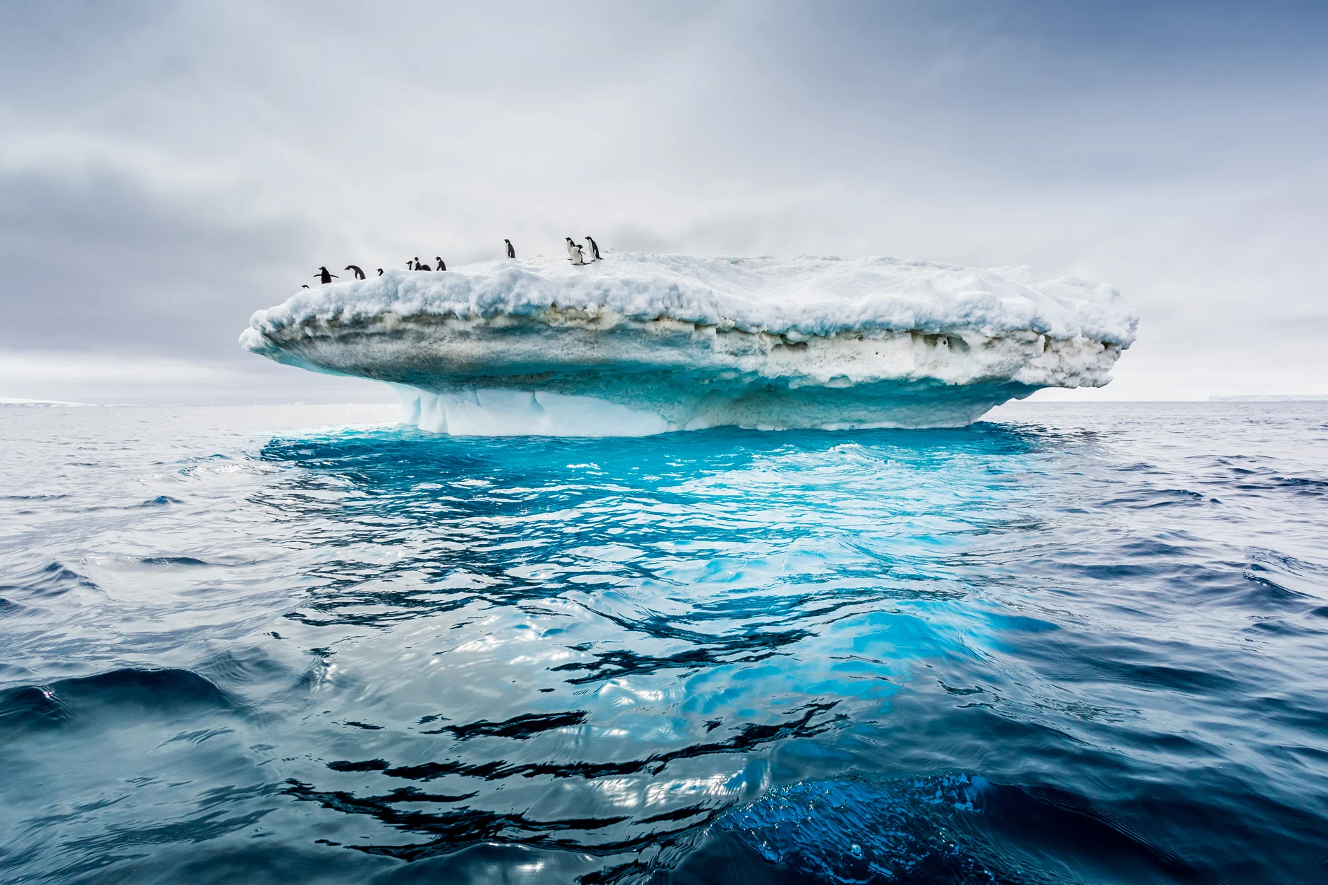 antartica-1