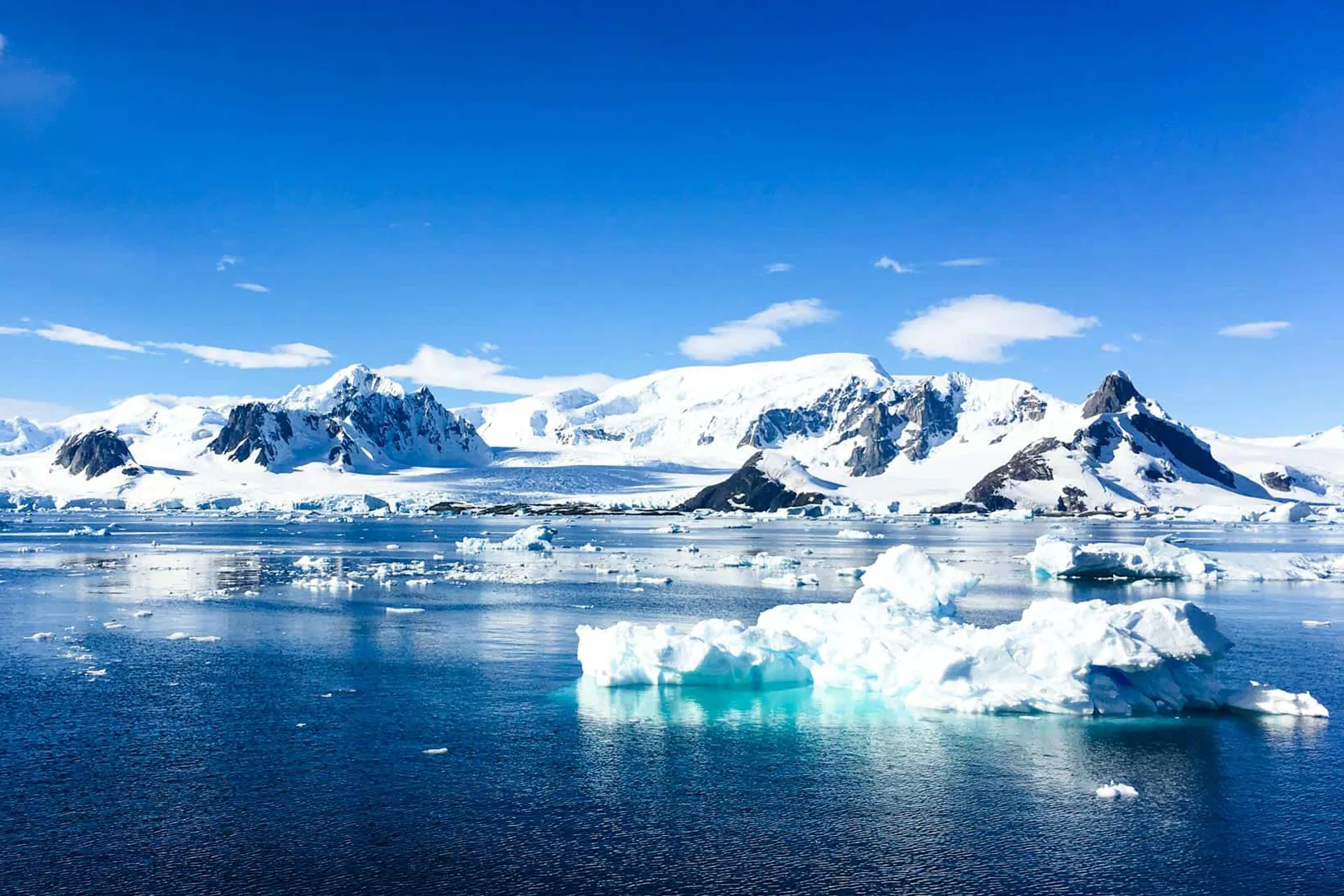 antartica-4