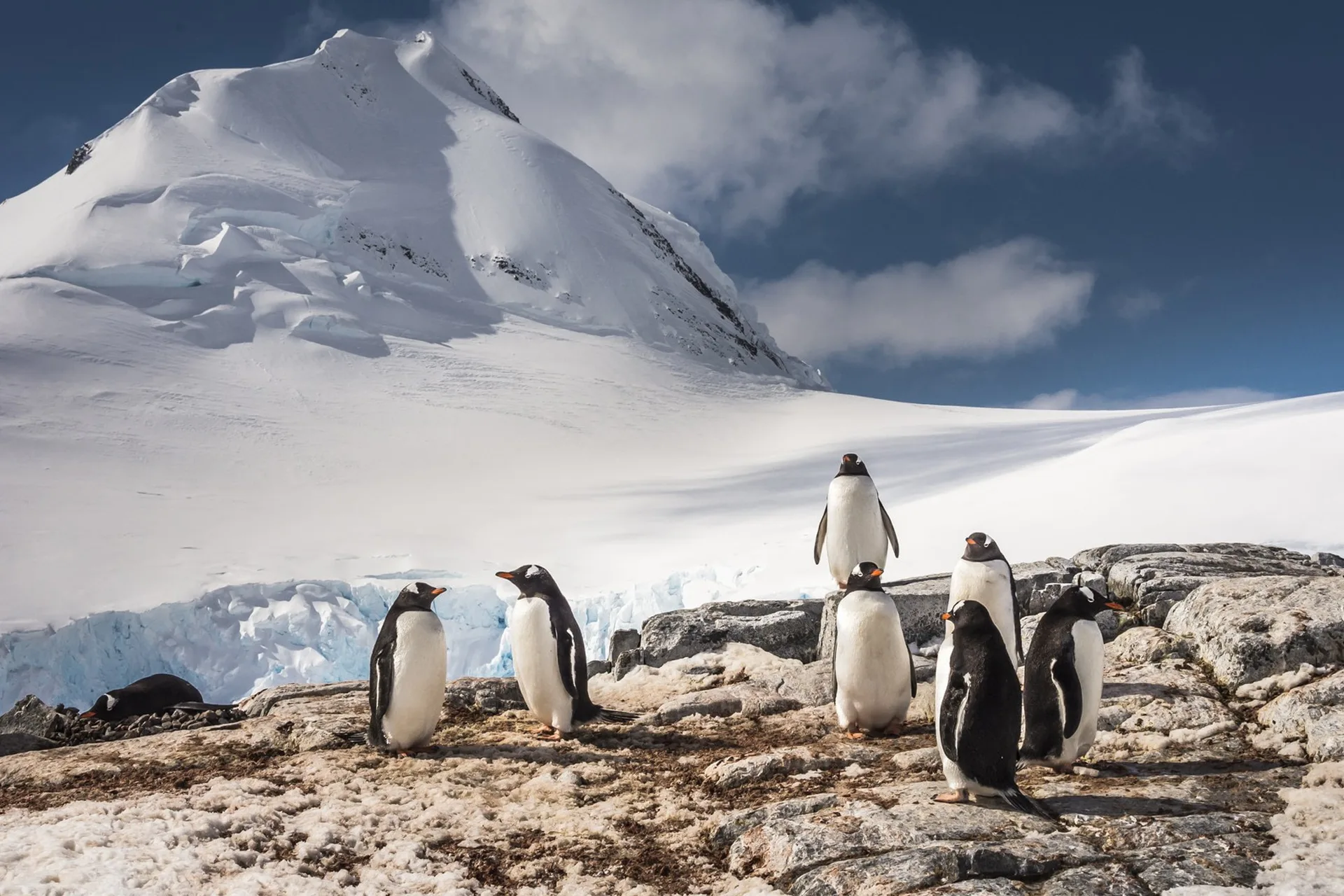 antartica-8