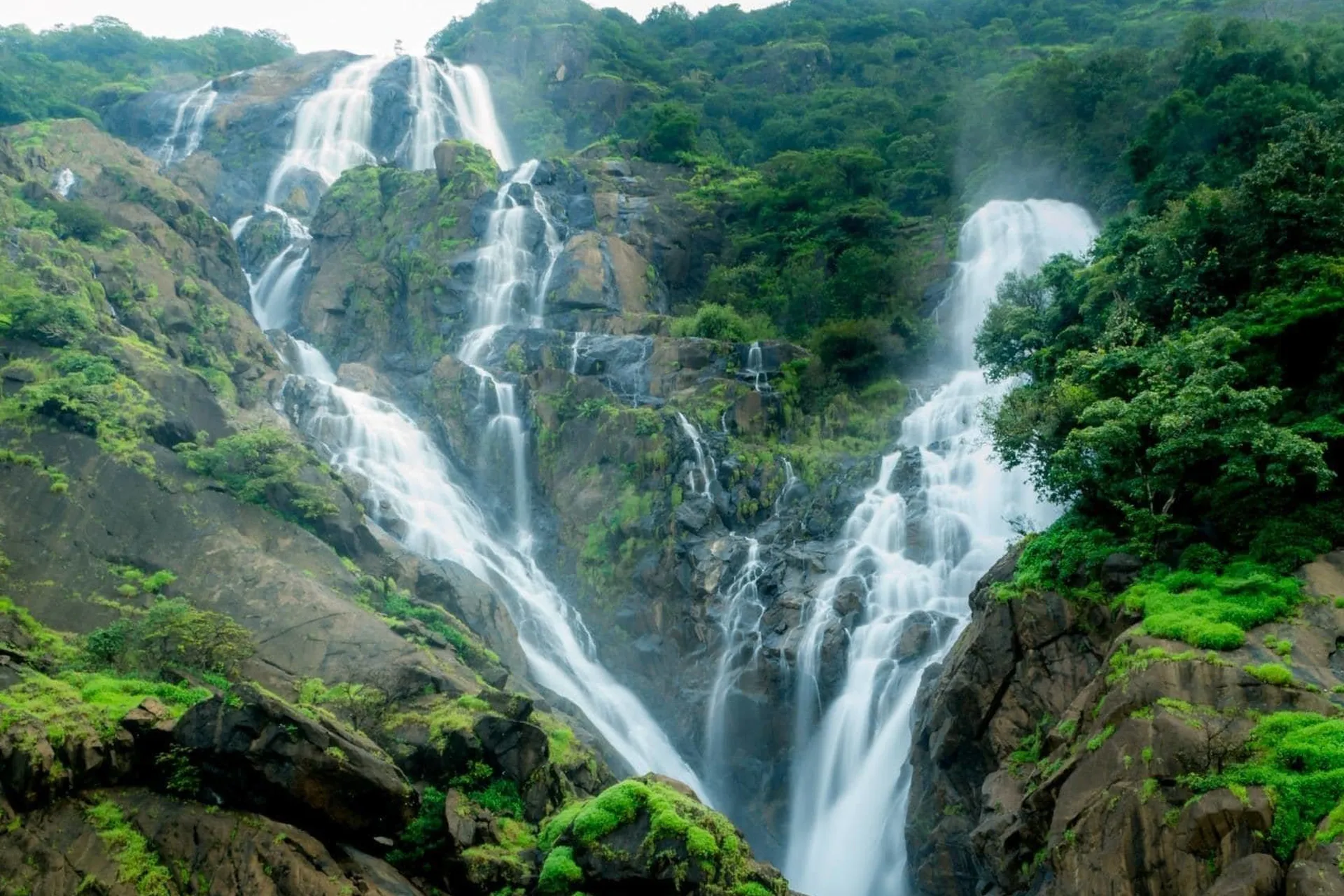goa-6