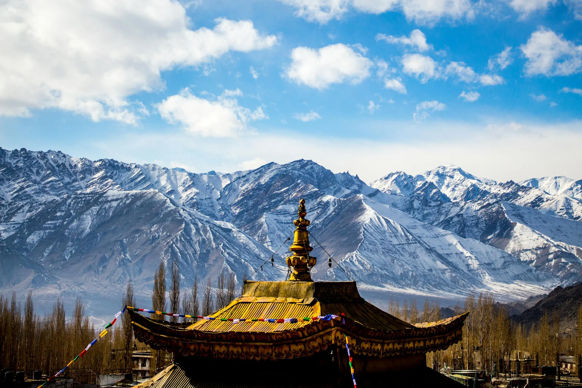 ladakh-9