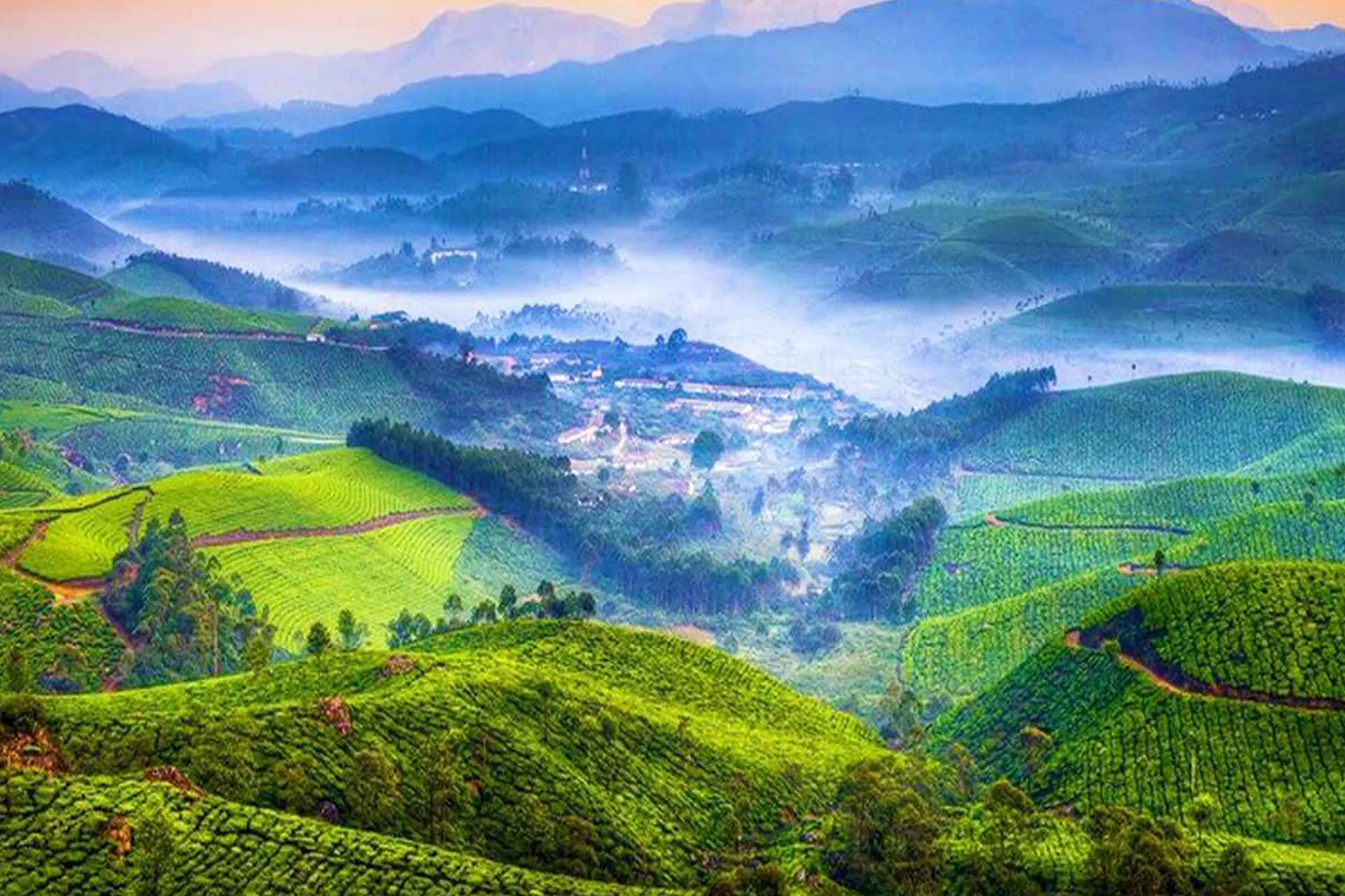 munnar-2