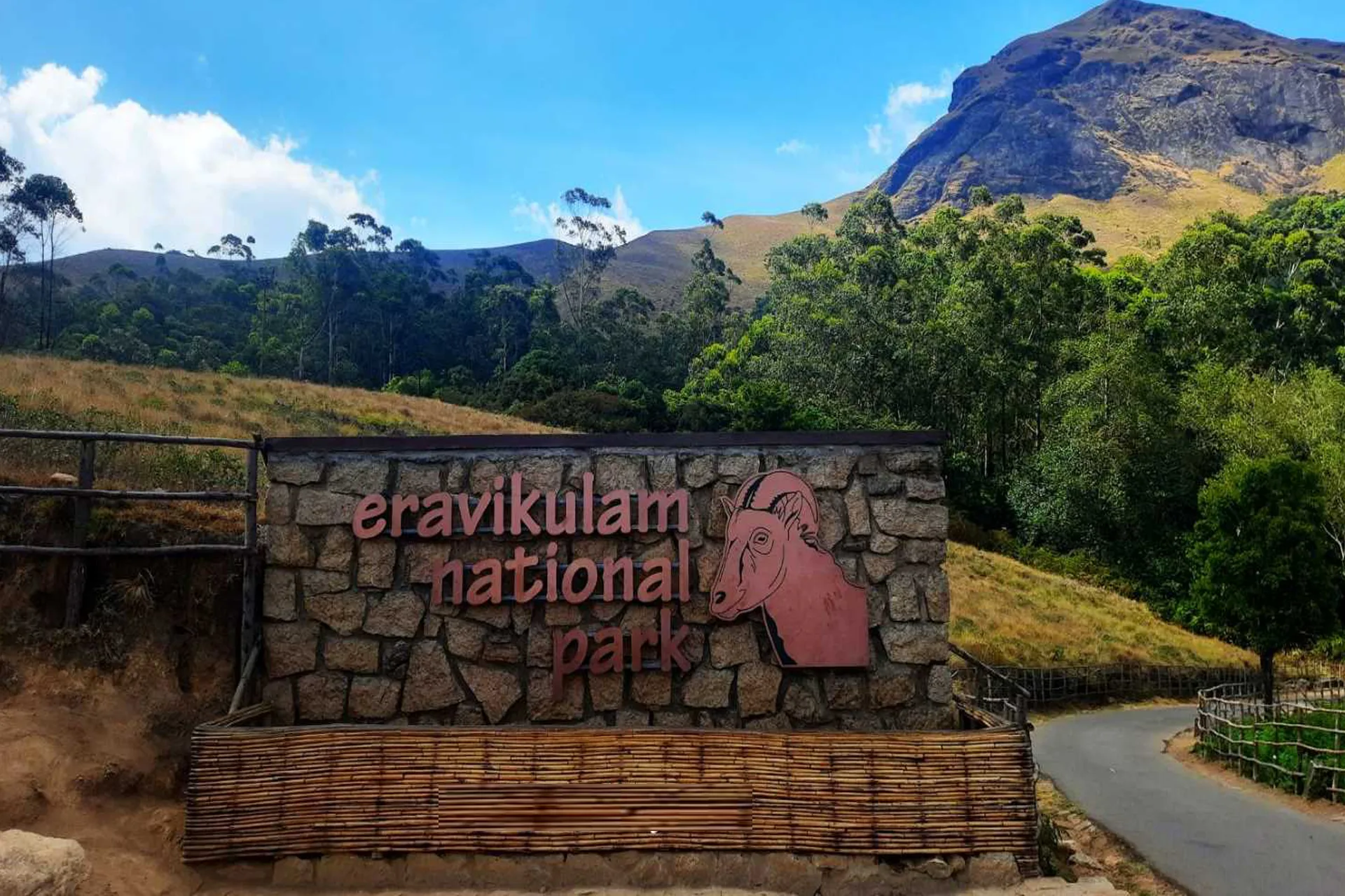munnar-4