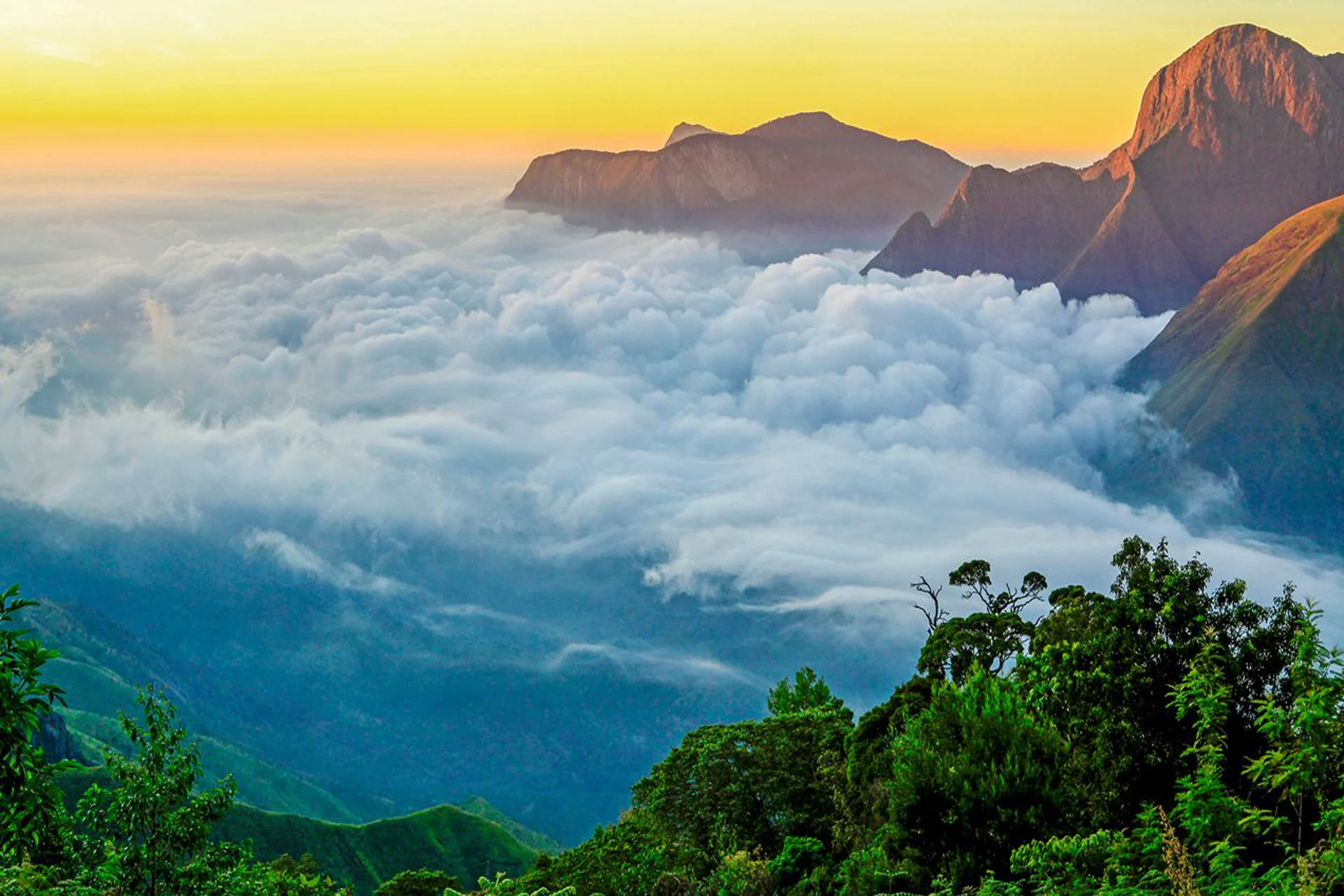 munnar-7