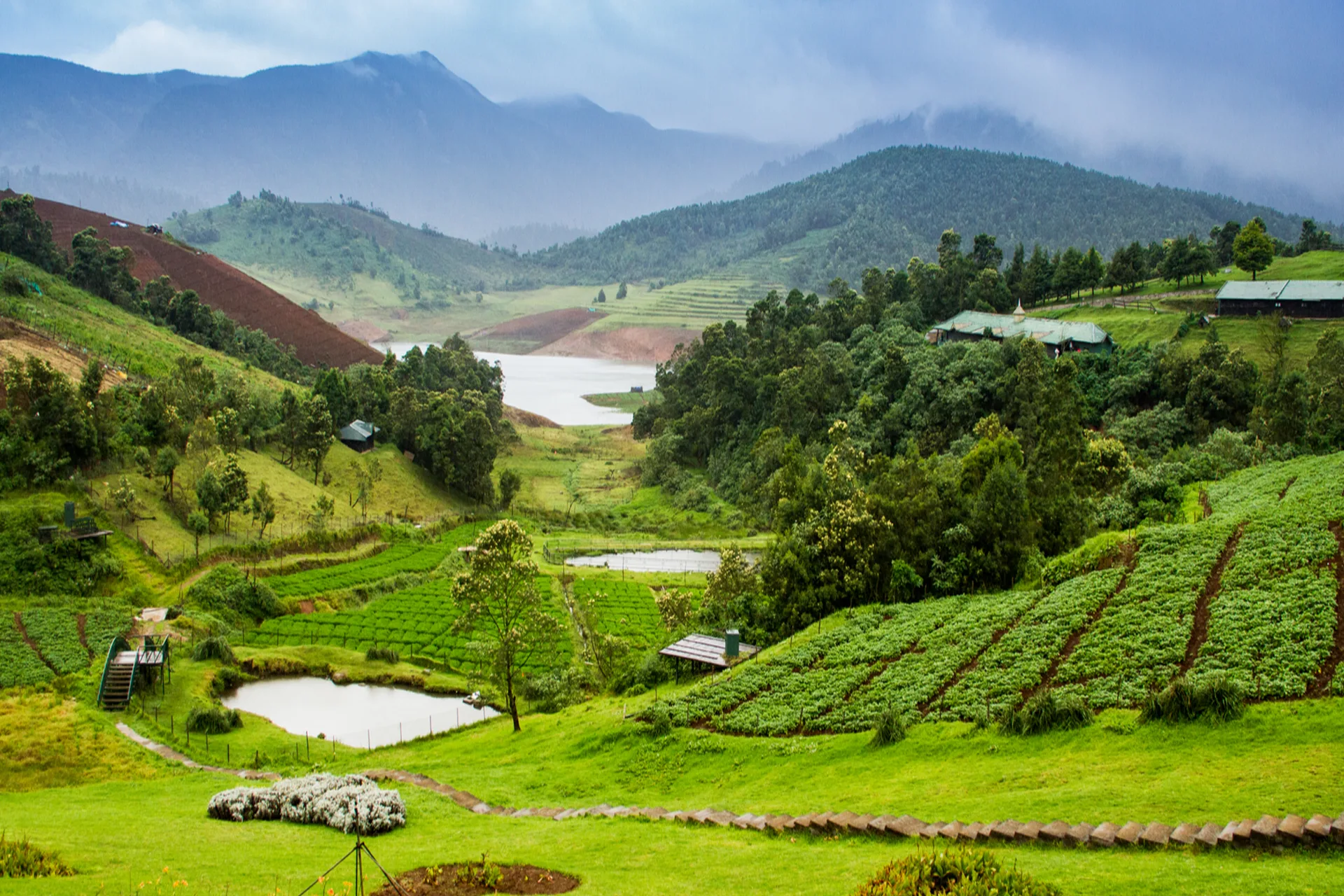 ooty-1