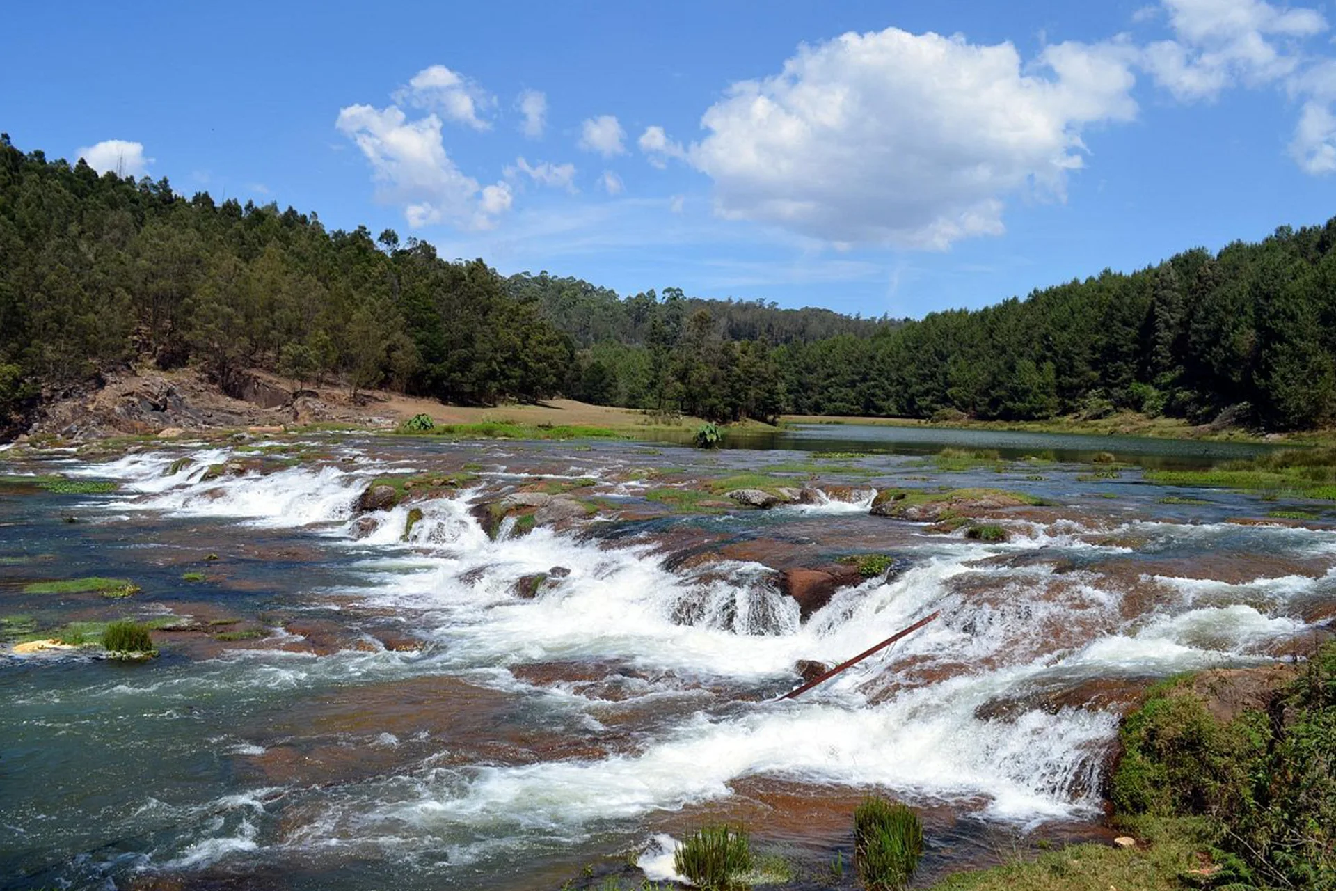 ooty-10