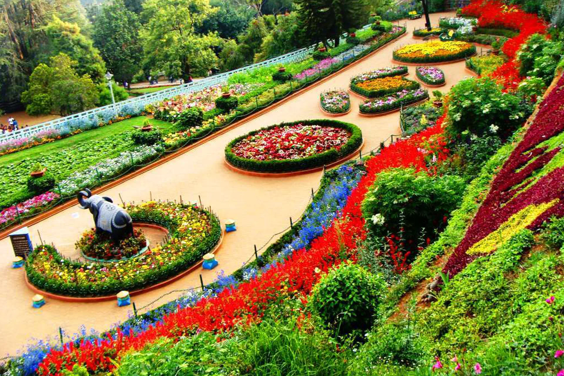 ooty-2