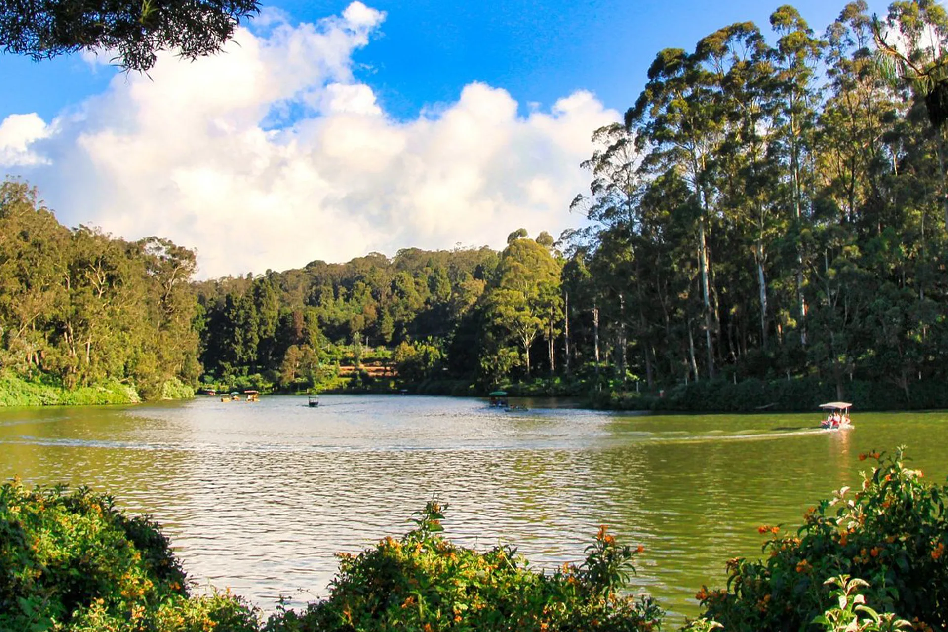 ooty-3