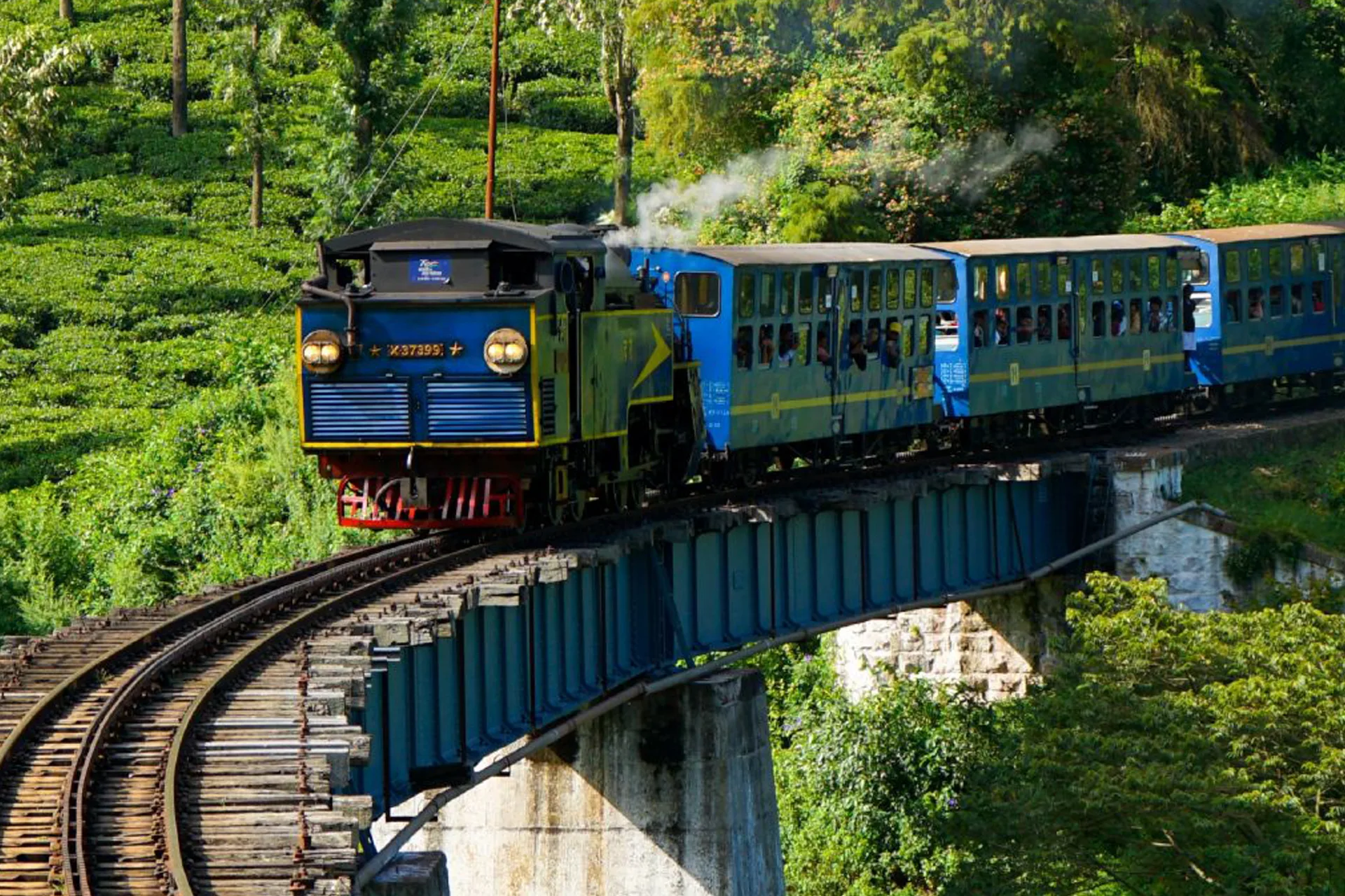ooty-4