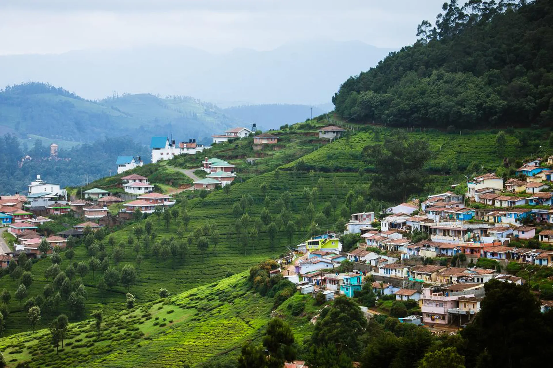 ooty-7