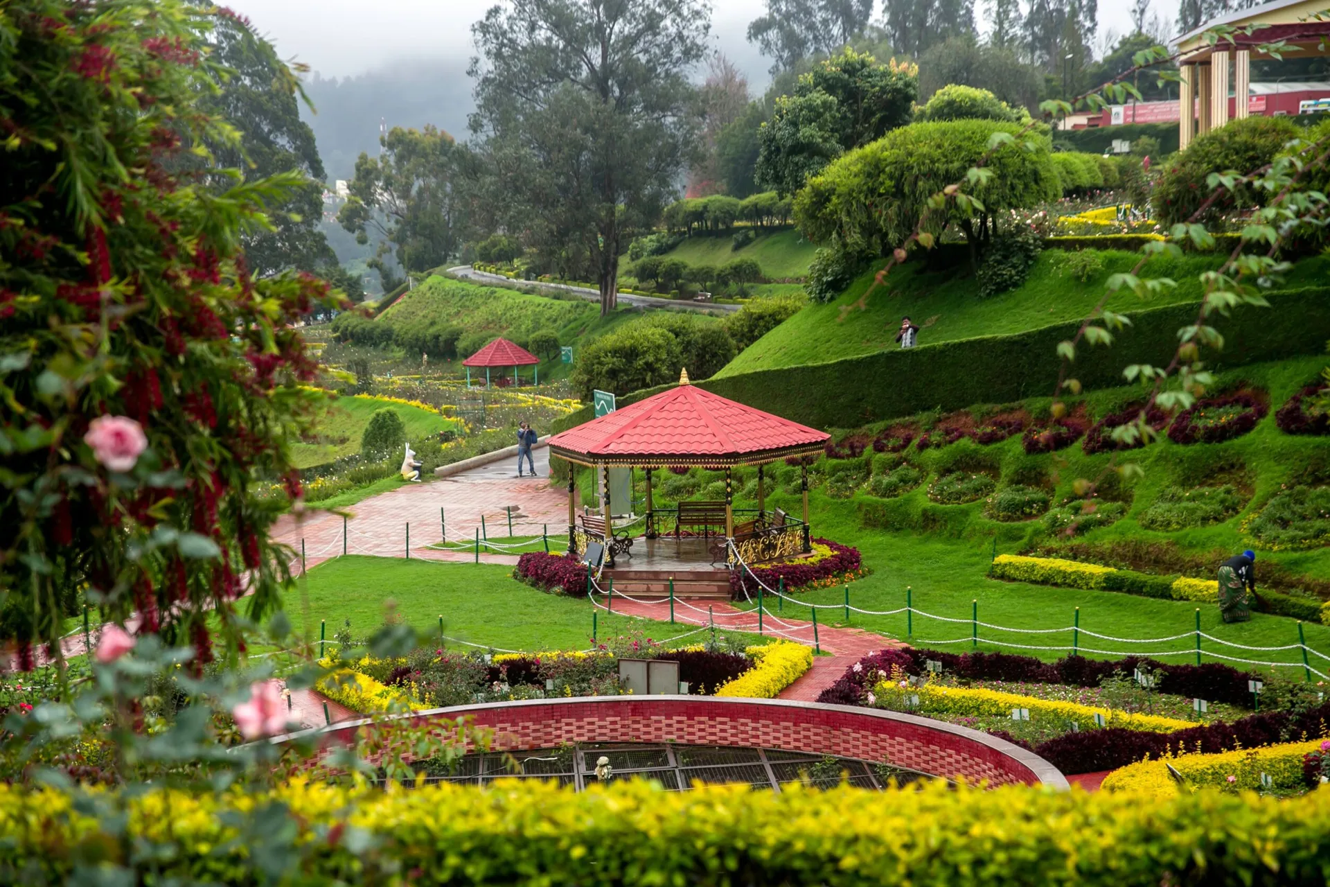 ooty-8