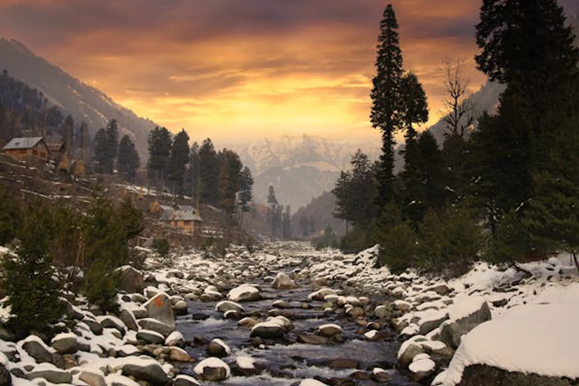 kashmir-6.webp