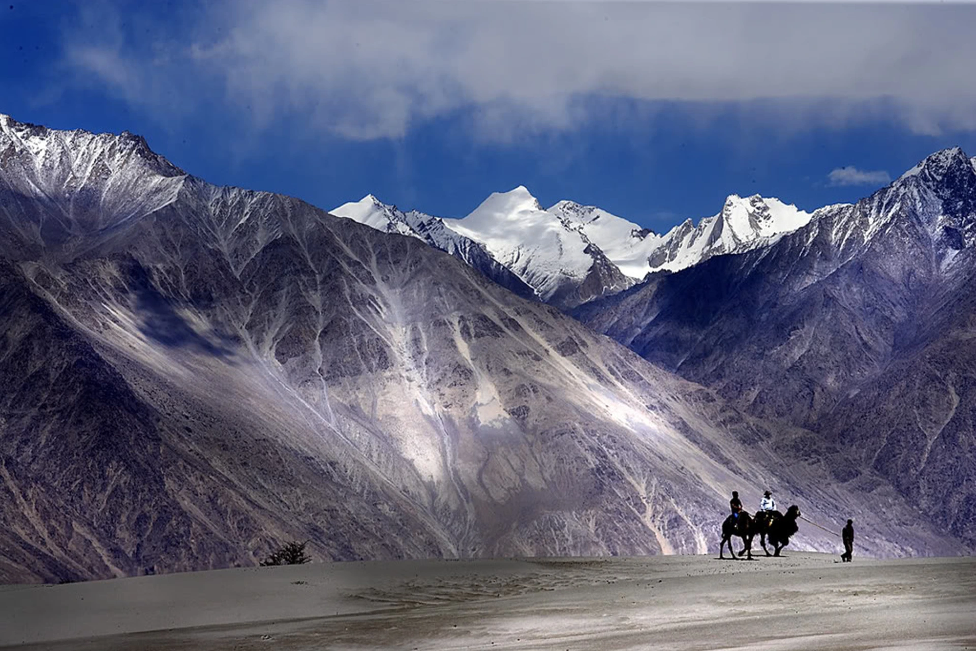 ladakh-2