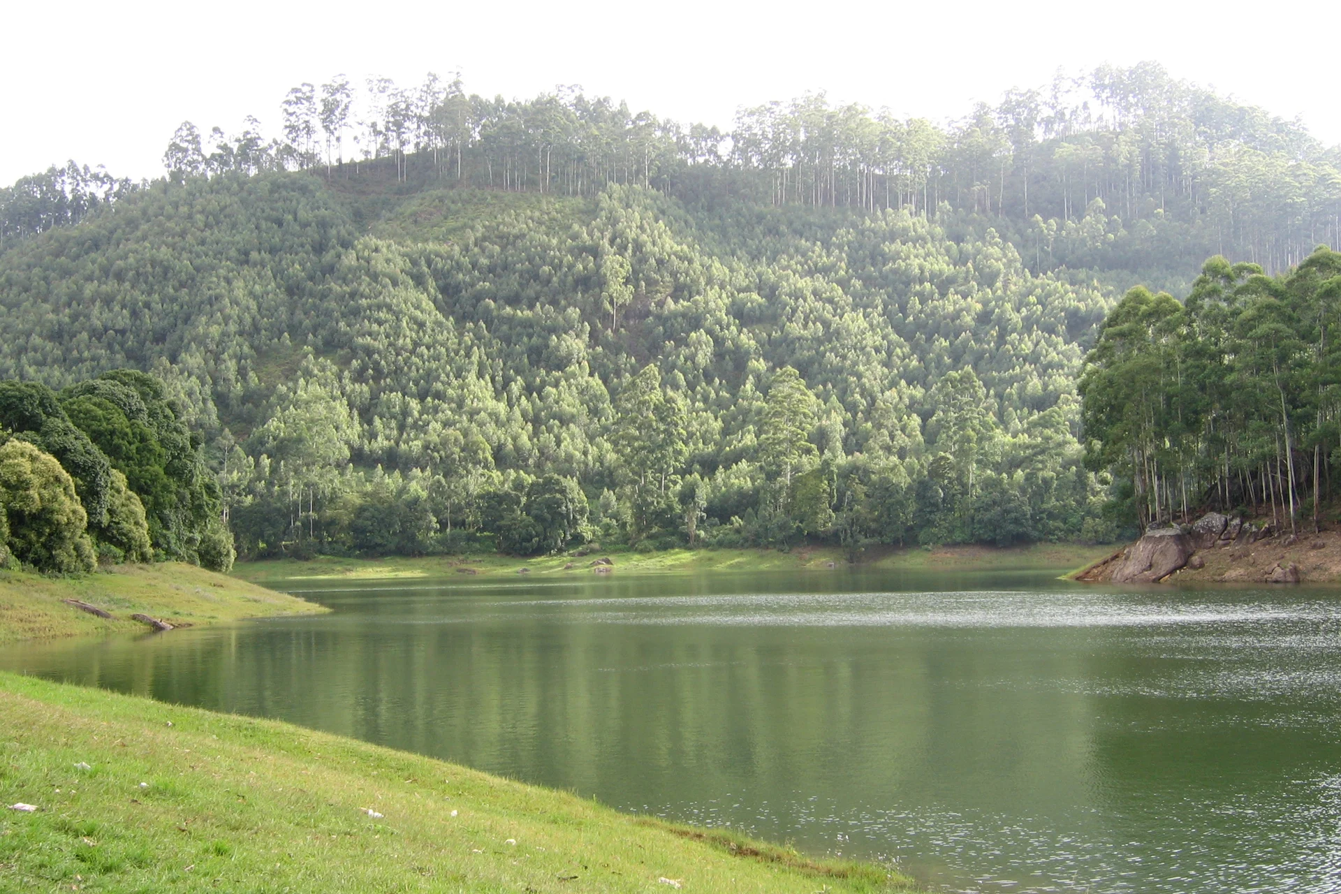 munnar-1